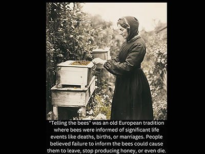 Go tell it to the bees